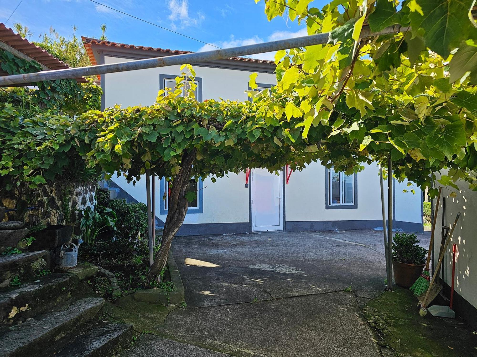 Casa Anjos Holiday Cottages Cedros Extérieur photo