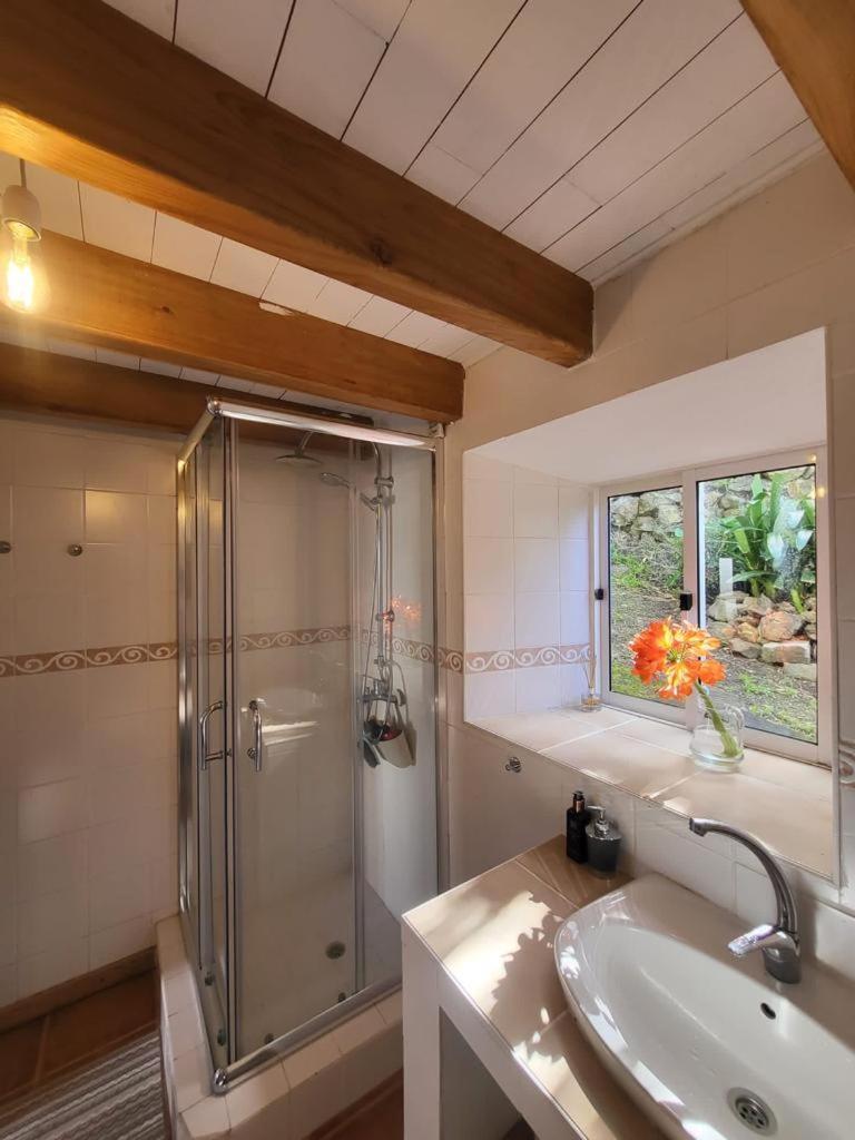 Casa Anjos Holiday Cottages Cedros Extérieur photo