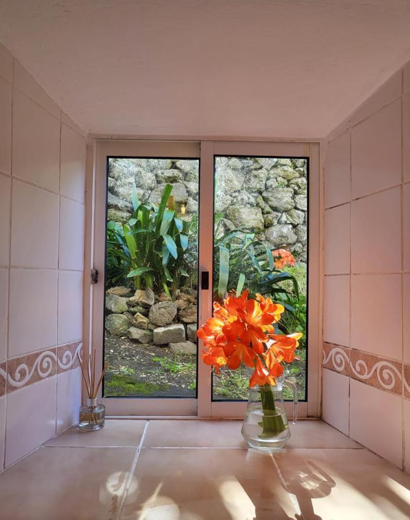 Casa Anjos Holiday Cottages Cedros Extérieur photo