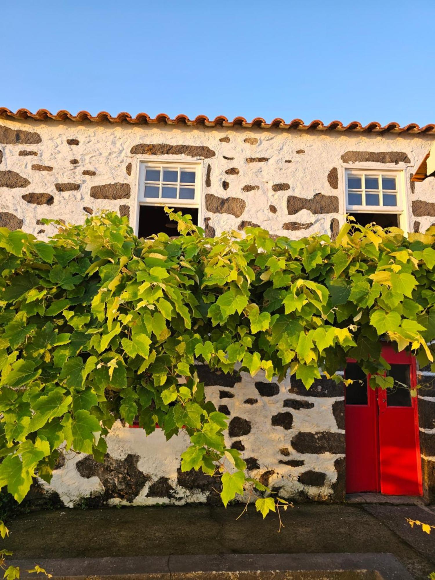 Casa Anjos Holiday Cottages Cedros Extérieur photo