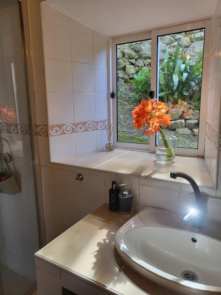 Casa Anjos Holiday Cottages Cedros Extérieur photo